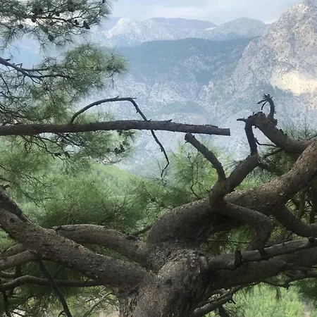 Yenivadi * Antalya
