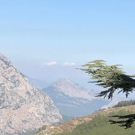 Yenivadi أنطاليا