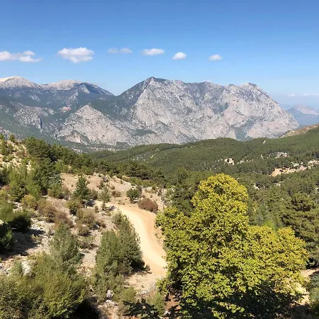 شاليه Yenivadi