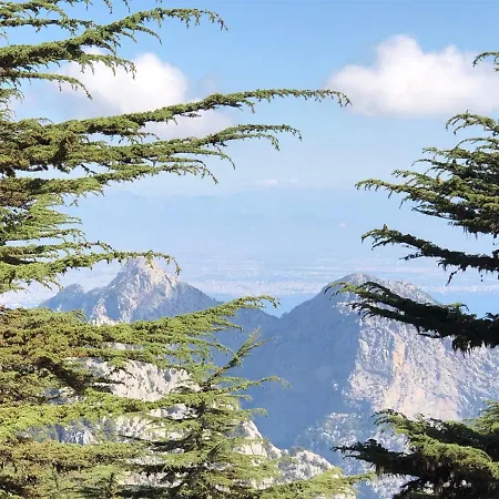 Yenivadi شاليه