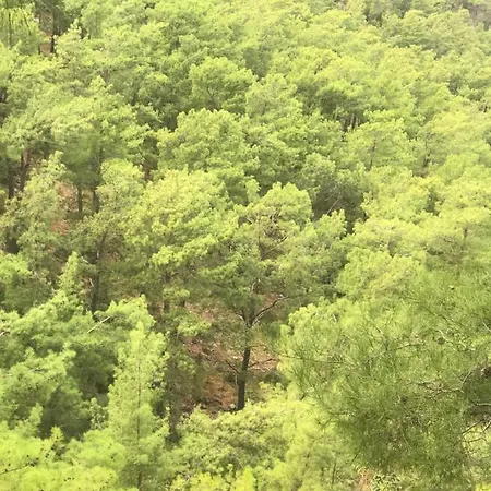 Yenivadi